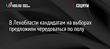 В Ленобласти кандидатам на выборах предложили чередоваться по полу