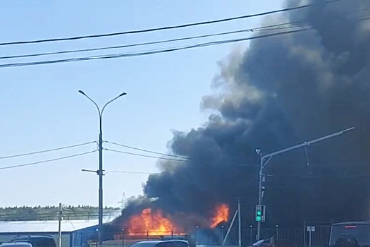 В Солнечногорске прогремели взрывы на рынке