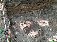 В Смоленске черные копатели мешают работе археологов