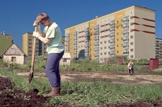 Третий этаж лишний. Садоводов готовятся вытеснить за черту города?