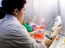 Российские ученые научились определять IQ по волосам