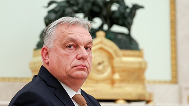 Berliner Zeitung: конфликт с Орбаном не даст Зеленскому протащить Киев в ЕС