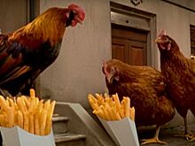 Шоумен хочет взыскать с Burger King 10 млн рублей