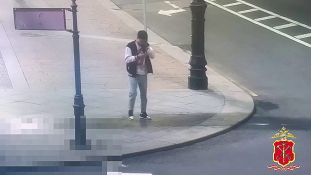 Уголовное дело в отношении водителя, устроившего ДТП на Троицком мосту в Петербурге, направлено в суд