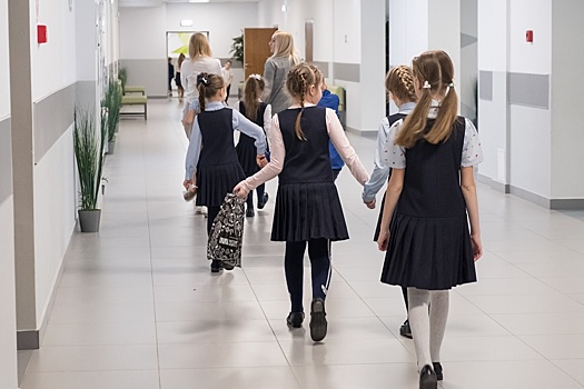 Спикер Воронежской облдумы Нетесов рассказал о введении льготных проездных для школьников из многодетных семей