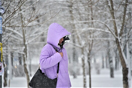 Метеоролог рассказал, придет ли в Россию холодная зима