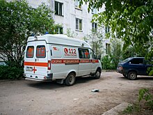Врач предупредил, для кого опасен укус гадюки