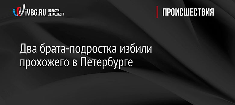 Два брата-подростка избили прохожего в Петербурге