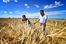 20 идей по развитию России: сельское хозяйство Как создать в стране благоприятный инвестклимат в сельском хозяйстве