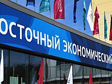 Восточный экономический форум: результаты для Евразийского союза