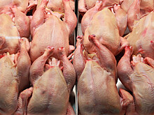 В РФ поступили первые 18,5 тонн мяса кур по беспошлинной квоте