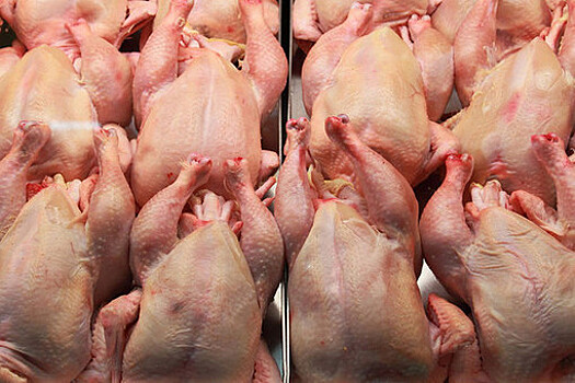 "Ъ": в России может подорожать мясо птицы из-за новых ограничений Россельхознадзора