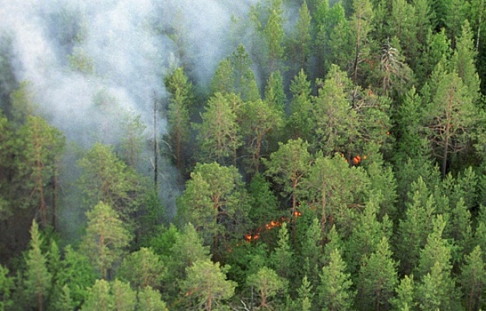 В Бурятии горит 150 тысяч гектаров леса