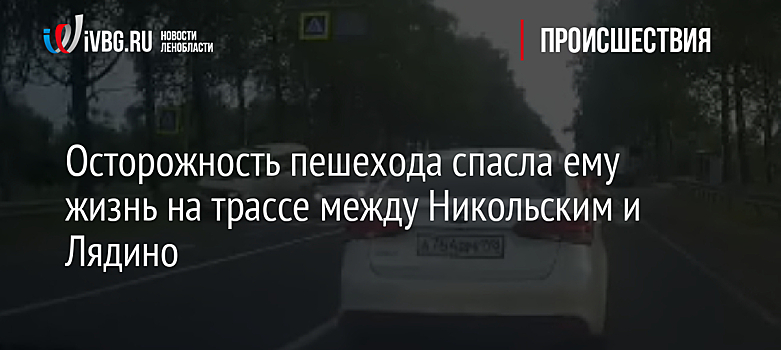 Осторожность пешехода спасла ему жизнь на трассе между Никольским и Лядино