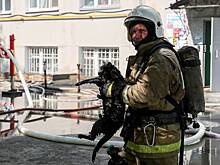 В Чебоксарах пожарный вынес кота из сгоревшей квартиры и вернул его к жизни