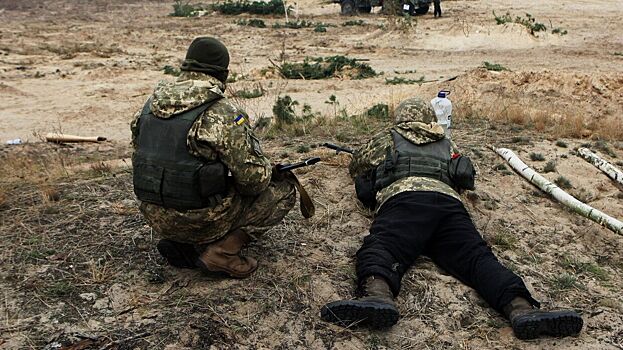 Аналитики NI развеяли миф об успехах военной реформы на Украине