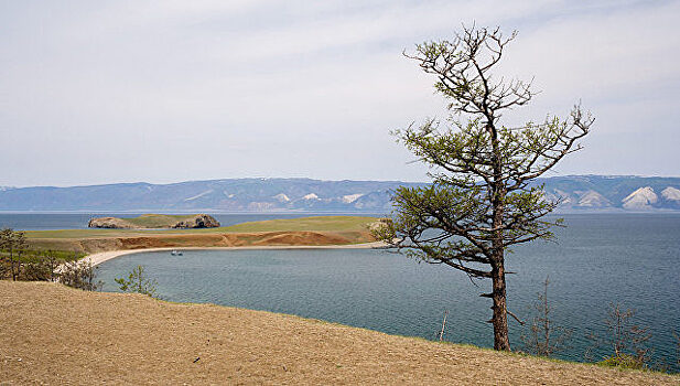 На базе Ангарского лесхоза откроют экодеревню для бывших заключенных