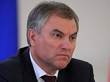 Володин назвал атавизмом лишение делегации РФ права голоса в ПАСЕ