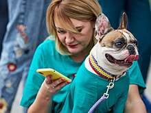 Записаться к ветеринару или вызвать его на дом теперь можно с помощью приложения «Госуслуги Москвы»