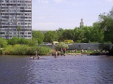 Спасатели порекомендовали воронежцам отказаться от купания в водоёмах в мае