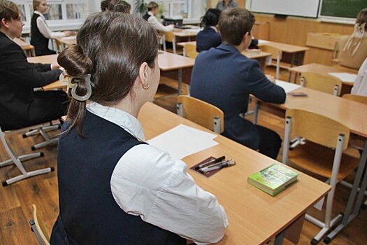 Около 98,3% выпускников в РФ успешно сдали итоговое сочинение