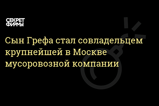 «Коммерсант» узнал о наличии у сыновей Грефа и Дмитриева общего бизнеса