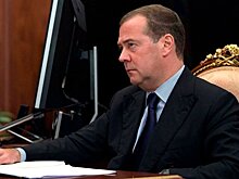 Медведев заявил, что скоро в ДНР может появиться региональный маткапитал