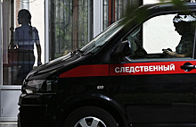 Видео из квартиры убитой адвоката Пузиковой появилось в Сети