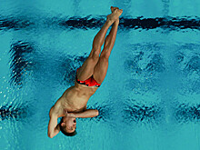 Сборная России завоевала первую медаль на ЧМ по водным видам спорта