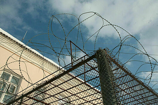 В ГД внесли законопроект о праве заключенных в строгих условиях на звонок раз в год