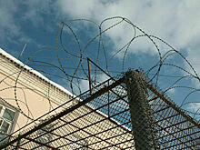 В ГД внесли законопроект о праве заключенных в строгих условиях на звонок раз в год