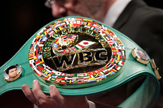 В WBC обнародовали дебютный топ бриджервейта — он ужасен