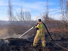 «Иногда горение торфяников продолжается даже зимой, под слоем снега»: эксперты – о ситуации в Екатеринбурге