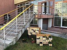 Жительница Нового Уренгоя под покровом ночи разорила клумбу, сделанную в честь юбилея города