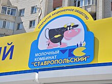 Молочный комбинат «Ставропольский» отложил проект строительства роботизированной фермы