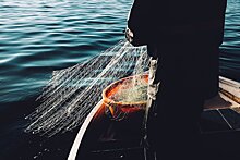С начала нерестового запрета в Удмуртии браконьеры уже выловили 50 кг рыбы