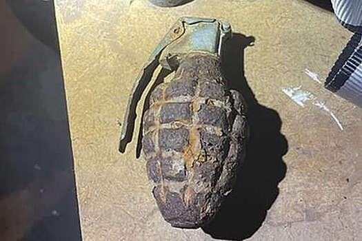 Metro: в США 3-летний мальчик принес домой боевую гранату