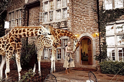 «Это из области фантастики»: Наталья Давыдова позавтракала с жирафами в кенийском отеле