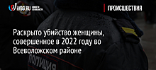 Раскрыто убийство женщины, совершенное в 2022 году во Всеволожском районе