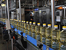 На Дону производят свыше 1 млн тонн подсолнечного масла в год