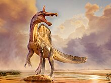 Найден уникальный спинозавр с «саблей» на голове