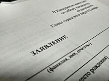 В списке желающих стать главой Самары уже 30 человек