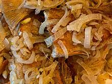 Алиханов показал, что сделал с пойманными в Куршском заливе окунями