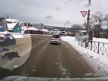 В Новосибирске водитель сбил мать с ребенком на руках и оказался невиновен