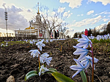 В Москву придет характерное для середины мая тепло