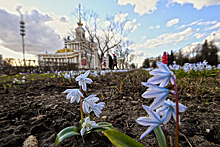 В Москву придет характерное для середины мая тепло