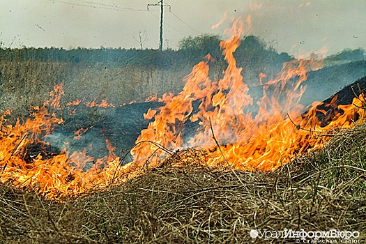 На нарушителей противопожарного режима на Среднем Урале завели почти тысячу дел