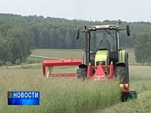 В Башкортостане могут ввести режим чрезвычайной ситуации из-за непрекращающихся дождей