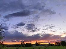 17 июня со стороны Украины в Курской области обстреляли 3 района