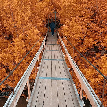 Саратовцев восхитил аткарский мост в желтых деревьях